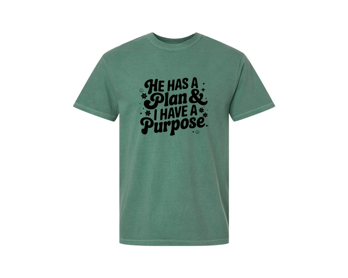 brand:Comfort Colors|color:Light Green|He Has A Plan And I Have A Purpose D Graphic T-Shirt
