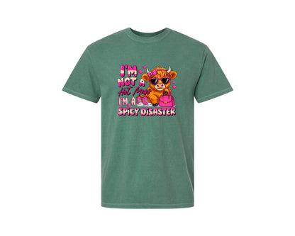 brand:Comfort Colors|color:Light Green|Im Not A Hot Mess Im A Spicy Graphic T-Shirt