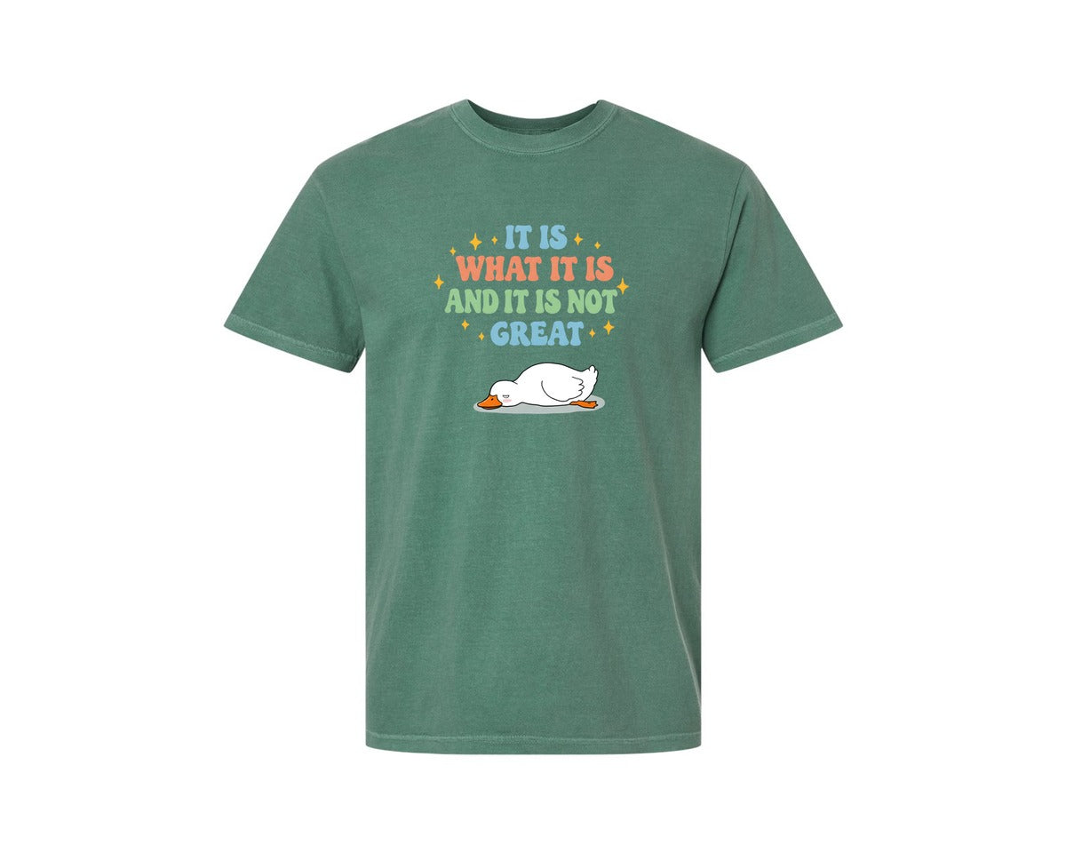 brand:Comfort Colors|color:Light Green|Funny Duck It Is What It Is Graphic T-Shirt