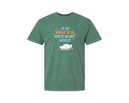 brand:Comfort Colors|color:Light Green|Funny Duck It Is What It Is Graphic T-Shirt
