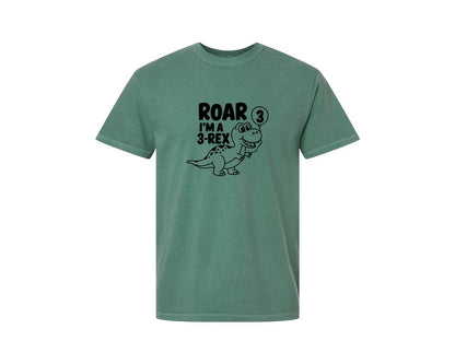 brand:Comfort Colors|color:Light Green|3 Rex Dinosaur Birthday Graphic T-Shirt