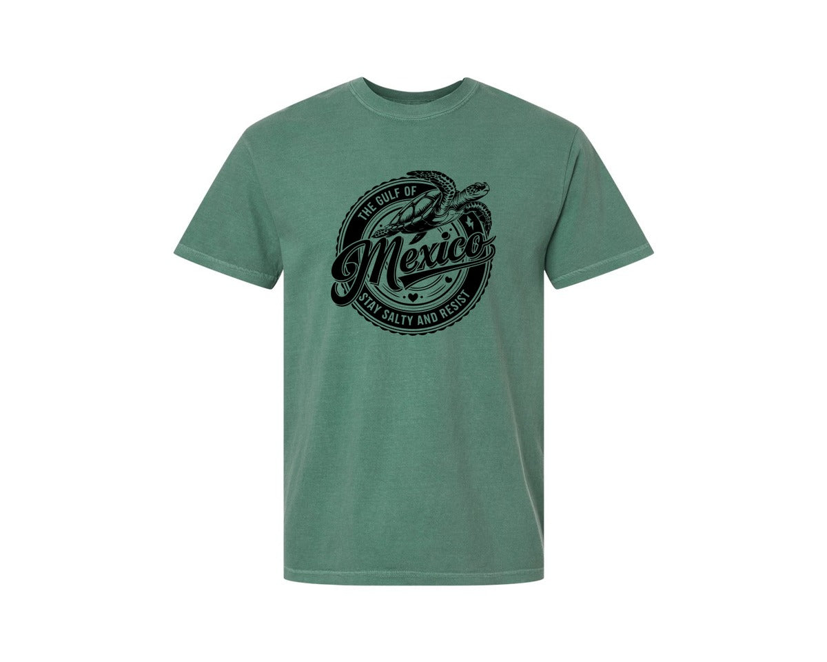 brand:Comfort Colors|color:Light Green|Gulf Of Mexico Turtle Beach Graphic T-Shirt