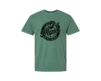 brand:Comfort Colors|color:Light Green|Gulf Of Mexico Turtle Beach Graphic T-Shirt