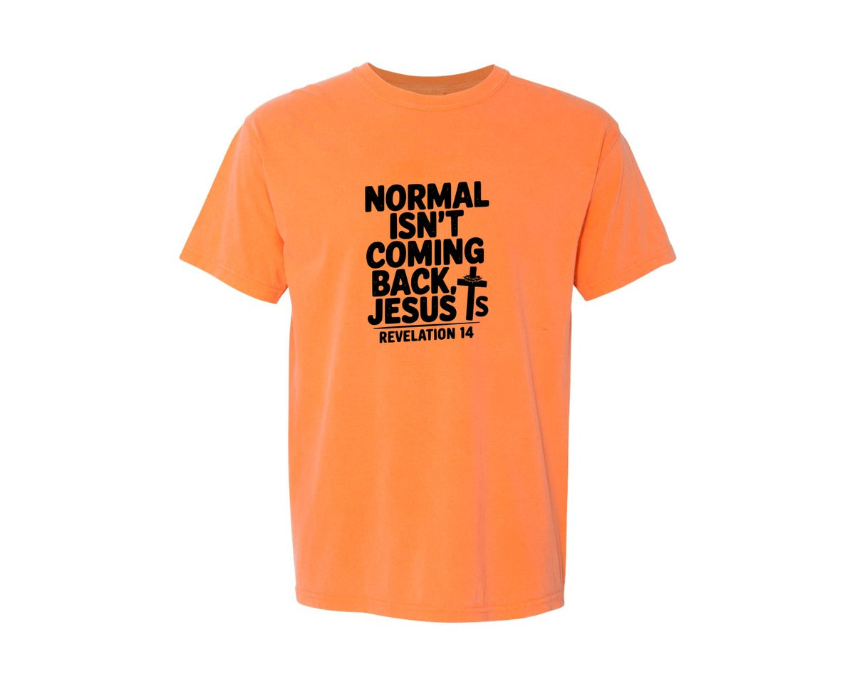 brand:Comfort Colors|color:Melon|Normal Isnt Coming Back But Jesus Is Sv Graphic T-Shirt