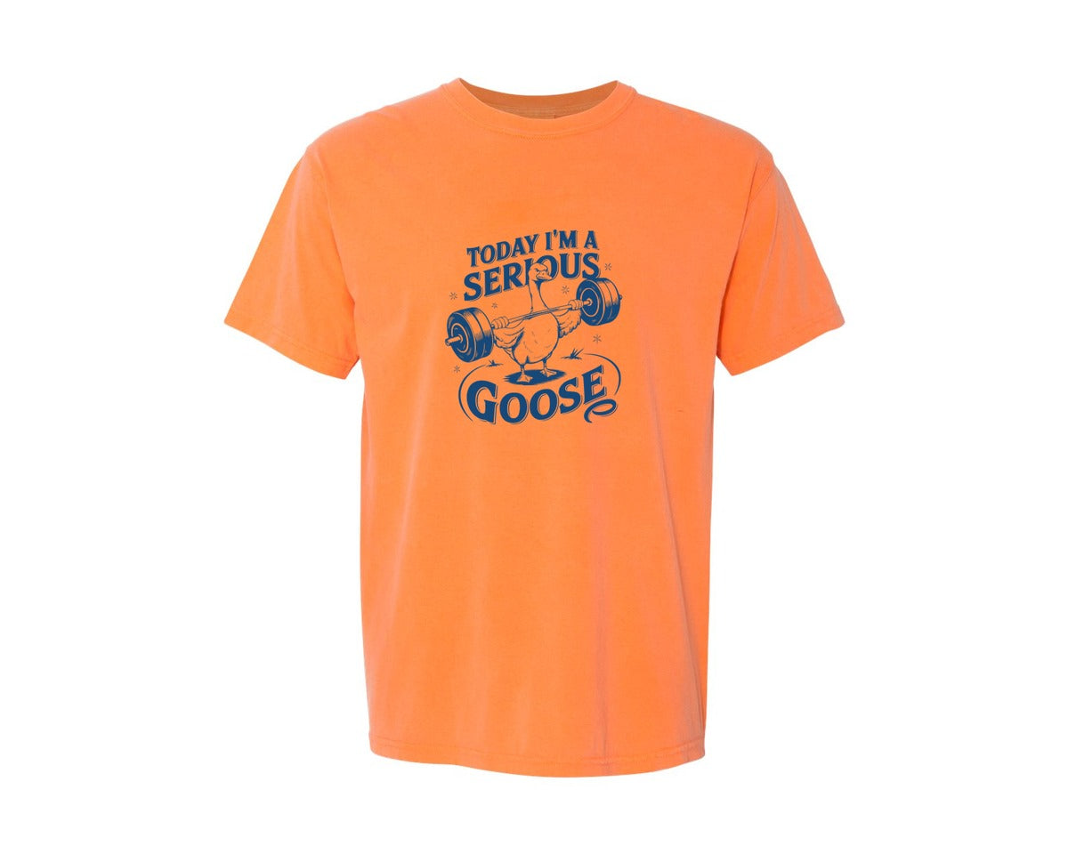 brand:Comfort Colors|color:Melon|Today Im A Serious Goose Bird T Shirt 2 Graphic T-Shirt