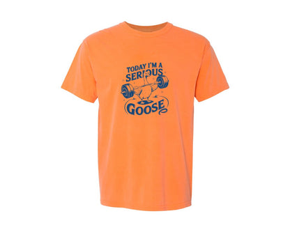 brand:Comfort Colors|color:Melon|Today Im A Serious Goose Bird T Shirt 2 Graphic T-Shirt