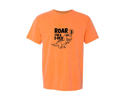 brand:Comfort Colors|color:Melon|3 Rex Dinosaur Birthday Graphic T-Shirt