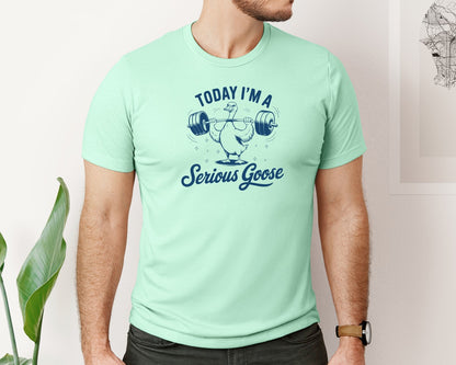 brand:Bella Canvas|color:Mint|Today Im A Serious Goose Bird T Shirt S Graphic T-Shirt