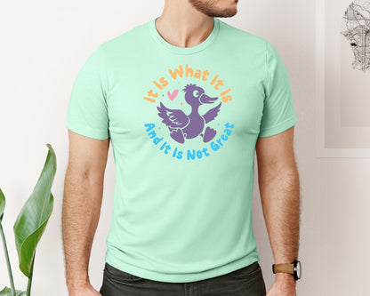 brand:Bella Canvas|color:Mint|It Is What It Is And It Is Not Great 12 Graphic T-Shirt