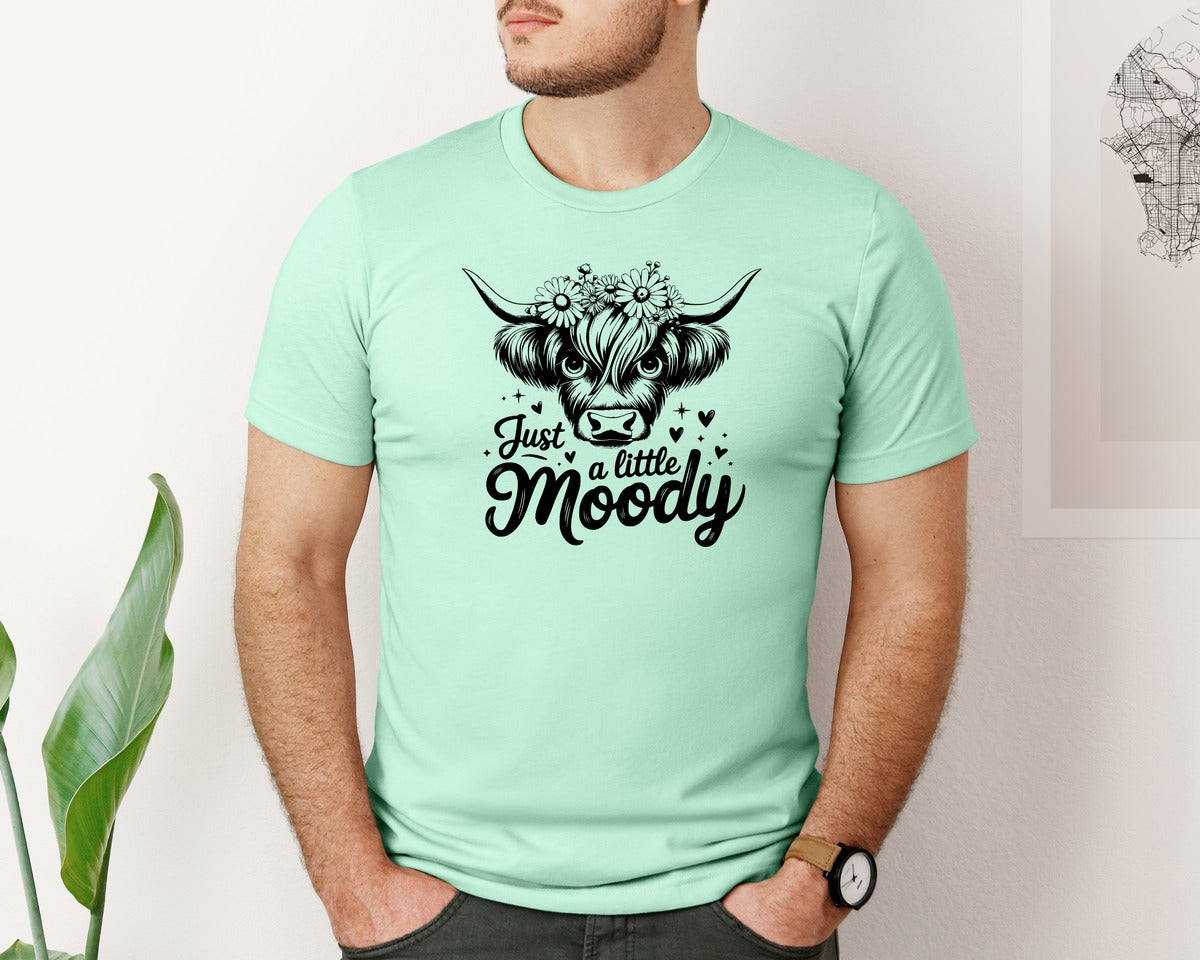 brand:Bella Canvas|color:Mint|Just A Little Moody T Shirt Design Graphic T-Shirt