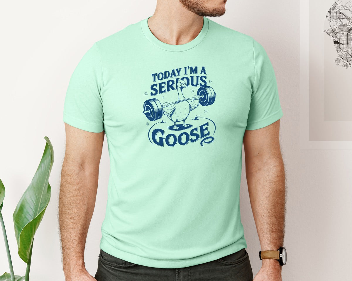 brand:Bella Canvas|color:Mint|Today Im A Serious Goose Bird T Shirt 2 Graphic T-Shirt