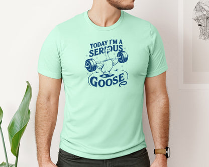 brand:Bella Canvas|color:Mint|Today Im A Serious Goose Bird T Shirt 2 Graphic T-Shirt