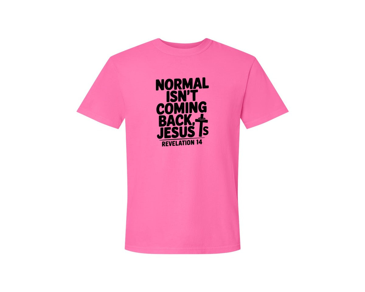 brand:Comfort Colors|color:Neon Pink|Normal Isnt Coming Back But Jesus Is Sv Graphic T-Shirt