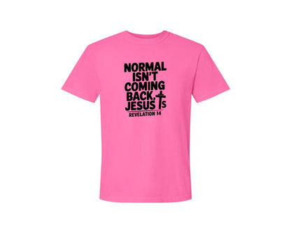 brand:Comfort Colors|color:Neon Pink|Normal Isnt Coming Back But Jesus Is Sv Graphic T-Shirt