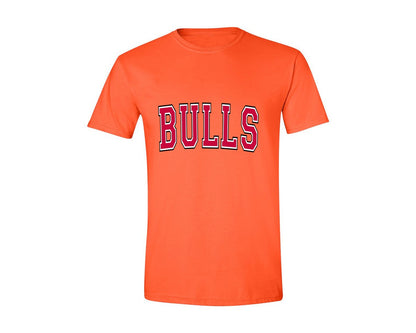 brand:Generic|color:Orange|Bulls Varsity Curved Graphic T-Shirt