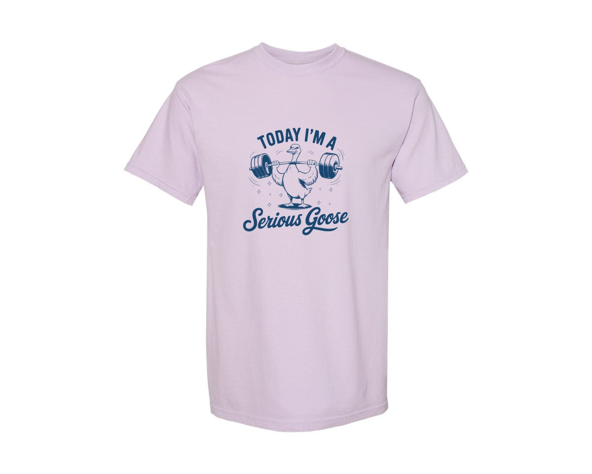 brand:Comfort Colors|color:Orchid|Today Im A Serious Goose Bird T Shirt S Graphic T-Shirt