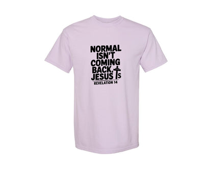 brand:Comfort Colors|color:Orchid|Normal Isnt Coming Back But Jesus Is Sv Graphic T-Shirt