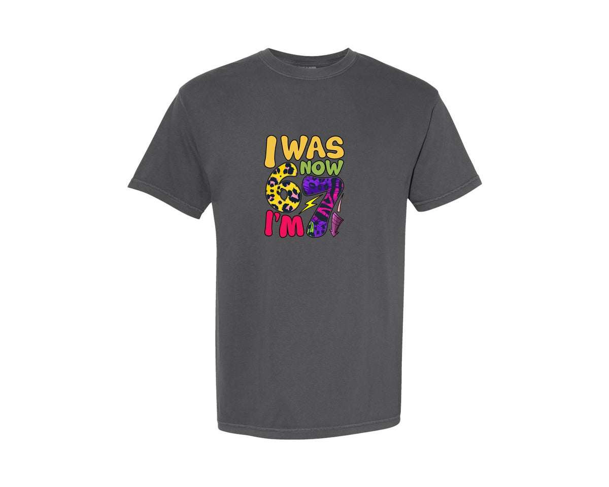 brand:Comfort Colors|color:Pepper|Funny 67 T Shirt Design 3 Graphic T-Shirt