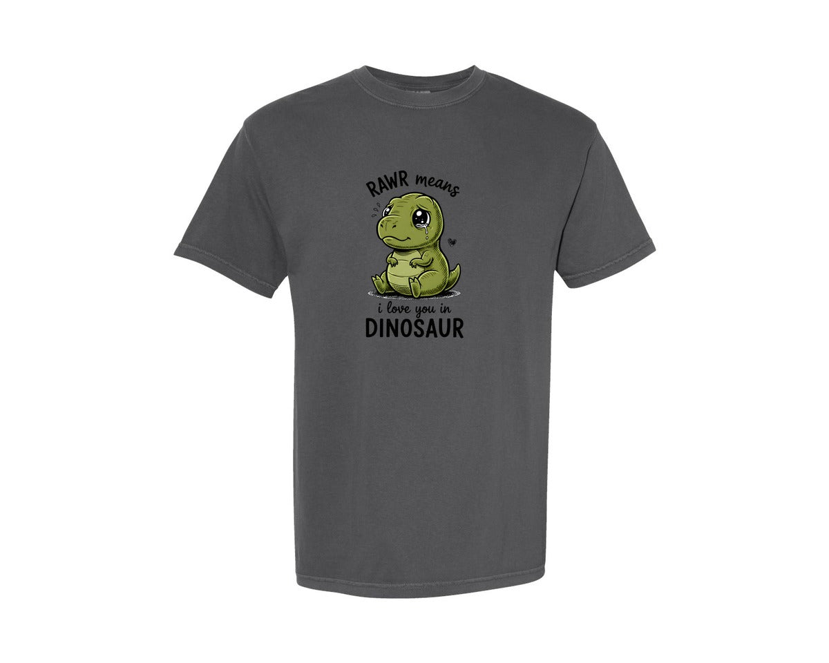 brand:Comfort Colors|color:Pepper|Rawr Means I Love You Dinosaur Graphic T-Shirt