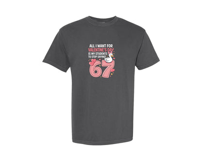 brand:Comfort Colors|color:Pepper|All I Want For Valentines Day Goose Coq Graphic T-Shirt