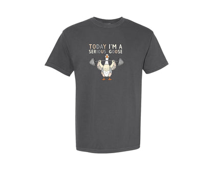 brand:Comfort Colors|color:Pepper|Funny Goose Workout Gym Graphic T-Shirt