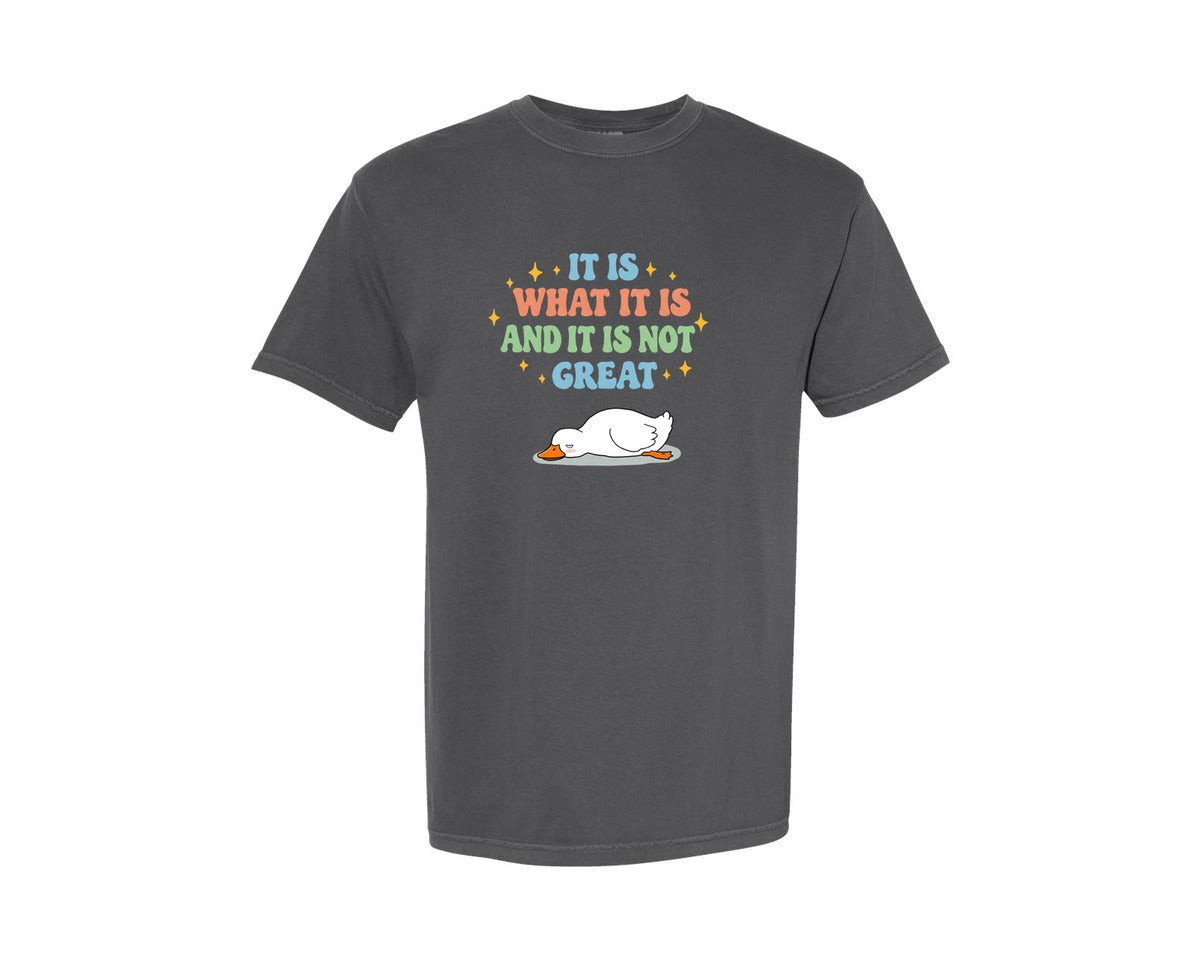 brand:Comfort Colors|color:Pepper|Funny Duck It Is What It Is Graphic T-Shirt
