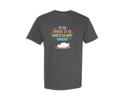 brand:Comfort Colors|color:Pepper|Funny Duck It Is What It Is Graphic T-Shirt