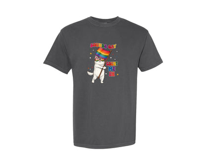 brand:Comfort Colors|color:Pepper|Sounds Gay Count Me In Cute Pride Cat Graphic T-Shirt
