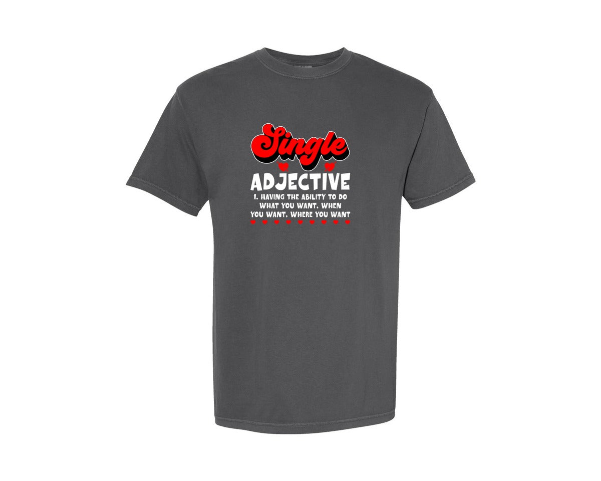 brand:Comfort Colors|color:Pepper|Funny Single Definition Graphic T-Shirt
