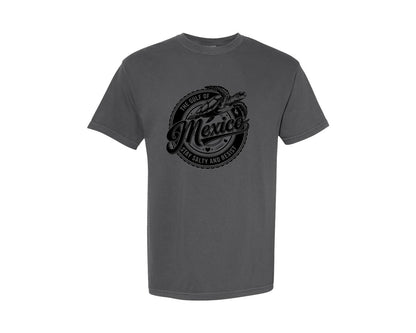 brand:Comfort Colors|color:Pepper|Gulf Of Mexico Turtle Beach Graphic T-Shirt