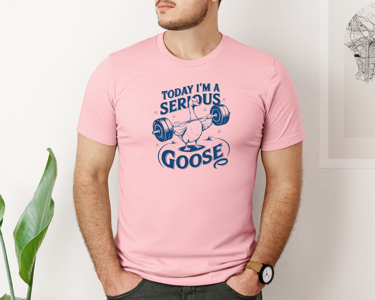 brand:Bella Canvas|color:Pink|Today Im A Serious Goose Bird T Shirt 2 Graphic T-Shirt
