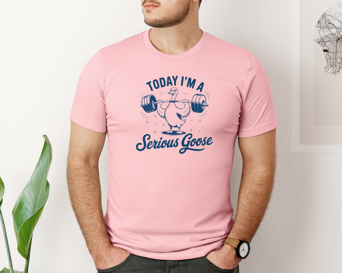 brand:Bella Canvas|color:Pink|Today Im A Serious Goose Bird T Shirt S Graphic T-Shirt
