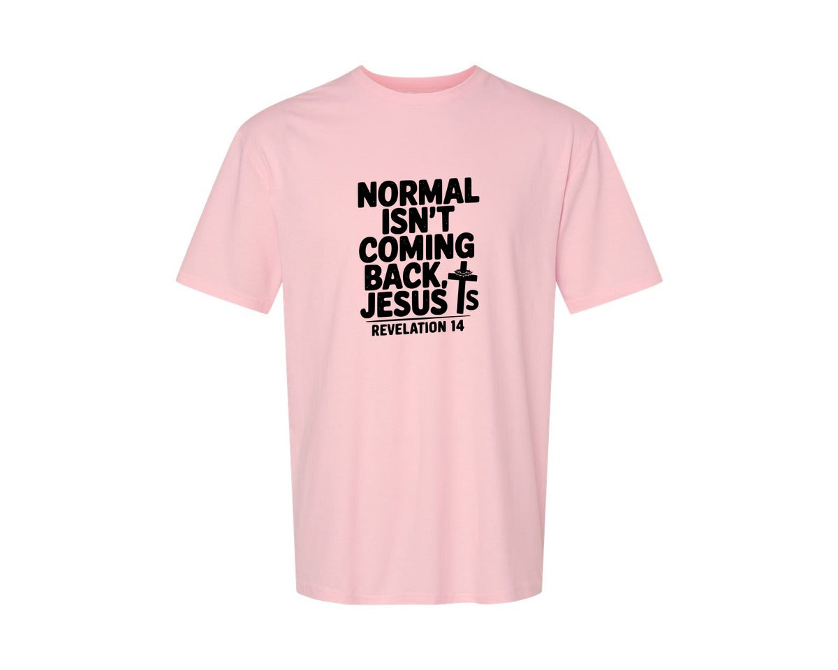 brand:Generic|color:Pink|Normal Isnt Coming Back But Jesus Is Sv Graphic T-Shirt