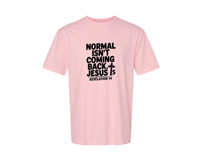 brand:Generic|color:Pink|Normal Isnt Coming Back But Jesus Is Sv Graphic T-Shirt