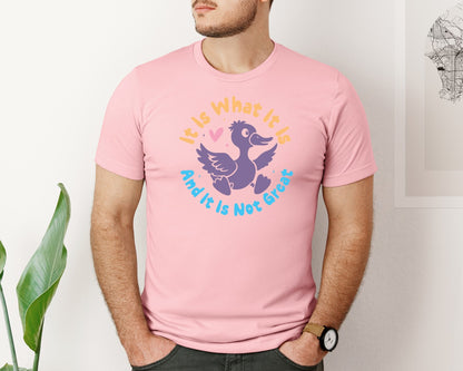 brand:Bella Canvas|color:Pink|It Is What It Is And It Is Not Great 12 Graphic T-Shirt