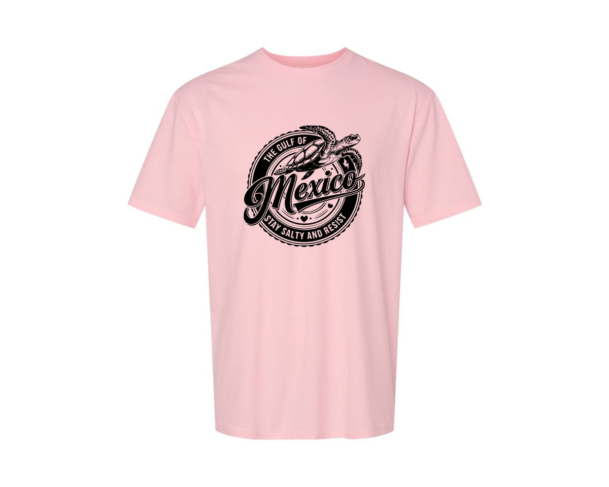 brand:Generic|color:Pink|Gulf Of Mexico Turtle Beach Graphic T-Shirt