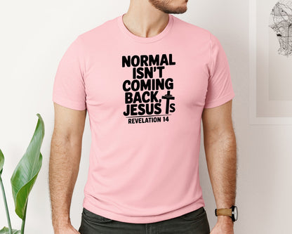 brand:Bella Canvas|color:Pink|Normal Isnt Coming Back But Jesus Is Sv Graphic T-Shirt