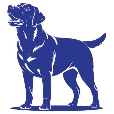Labrador Retriever Dog - DTF Transfer