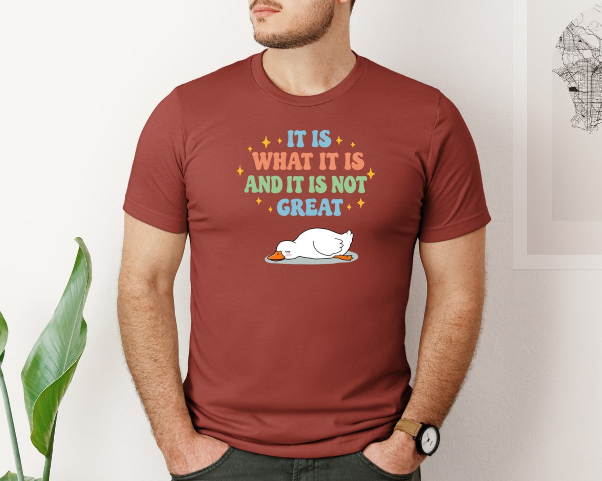 brand:Bella Canvas|color:Rust|Funny Duck It Is What It Is Graphic T-Shirt