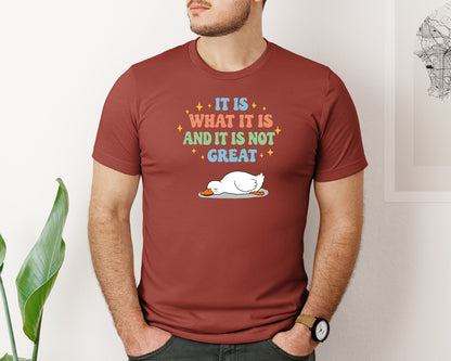 brand:Bella Canvas|color:Rust|Funny Duck It Is What It Is Graphic T-Shirt