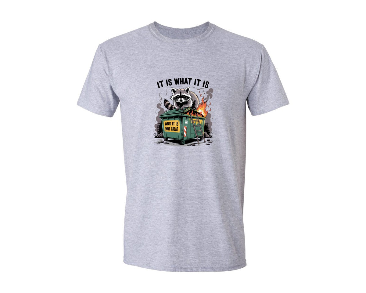brand:Generic|color:Sports Grey / Athletic Heather|Raccoon Dumpster Fire Meme Graphic T-Shirt