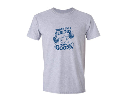 brand:Generic|color:Sports Grey / Athletic Heather|Today Im A Serious Goose Bird T Shirt 2 Graphic T-Shirt