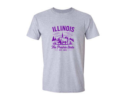 brand:Generic|color:Sports Grey / Athletic Heather|Illinois The Prairie State 2 Graphic T-Shirt