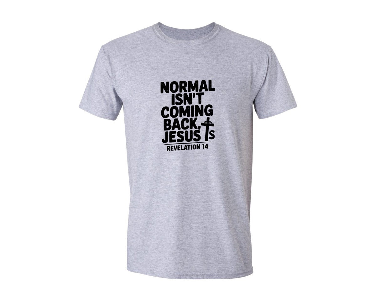 brand:Generic|color:Sports Grey / Athletic Heather|Normal Isnt Coming Back But Jesus Is Sv Graphic T-Shirt