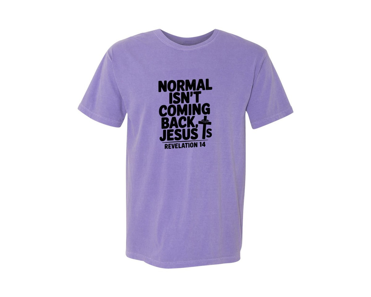 brand:Comfort Colors|color:Violet|Normal Isnt Coming Back But Jesus Is Sv Graphic T-Shirt