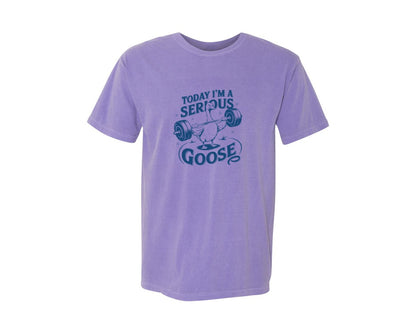 brand:Comfort Colors|color:Violet|Today Im A Serious Goose Bird T Shirt 2 Graphic T-Shirt