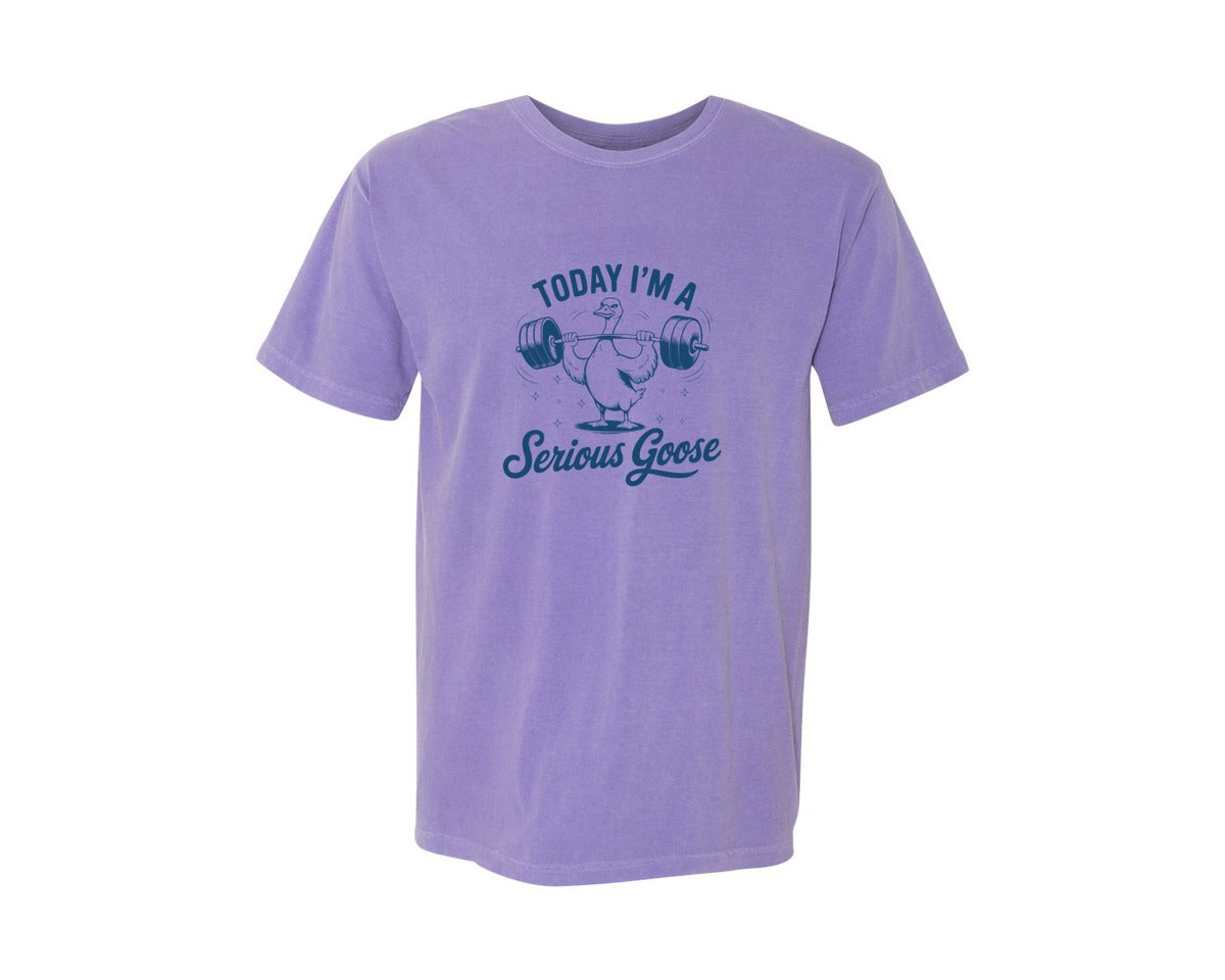 brand:Comfort Colors|color:Violet|Today Im A Serious Goose Bird T Shirt S Graphic T-Shirt