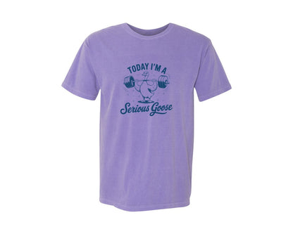 brand:Comfort Colors|color:Violet|Today Im A Serious Goose Bird T Shirt S Graphic T-Shirt