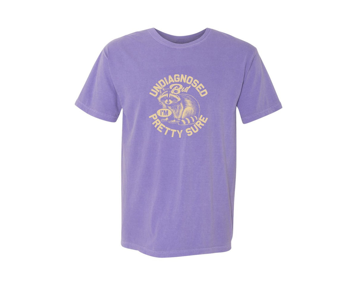brand:Comfort Colors|color:Violet|Funny Raccoon Meme T Shirt 2 Graphic T-Shirt