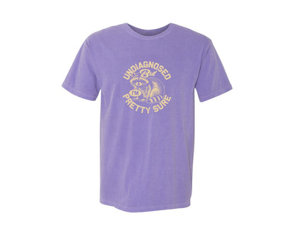 brand:Comfort Colors|color:Violet|Funny Raccoon Meme T Shirt 2 Graphic T-Shirt